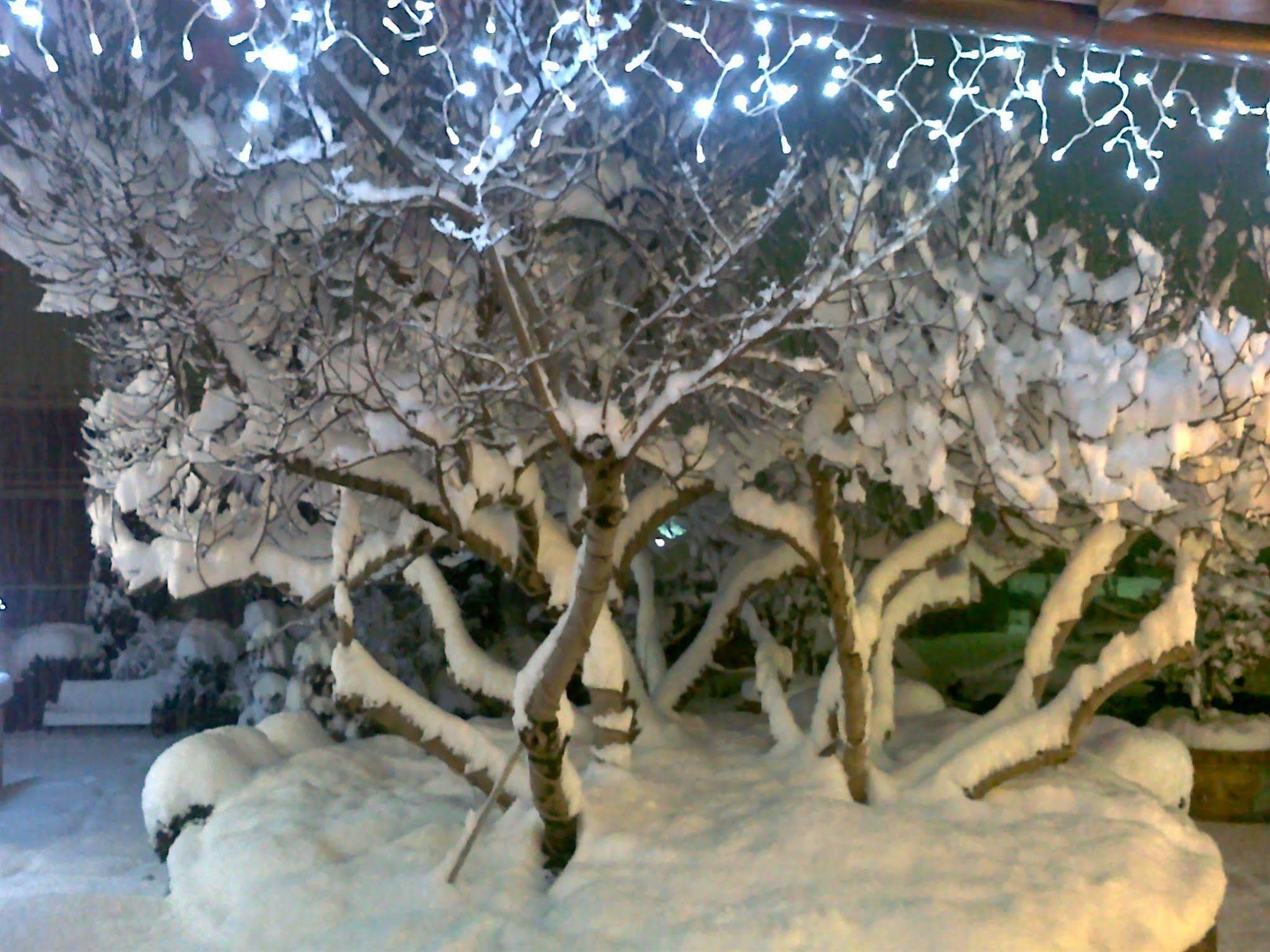 קסטלנובו די גרפניאנה Hotel Ristorante La Lanterna מראה חיצוני תמונה
